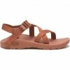 Chaco Women's Z1 Classic Sandals